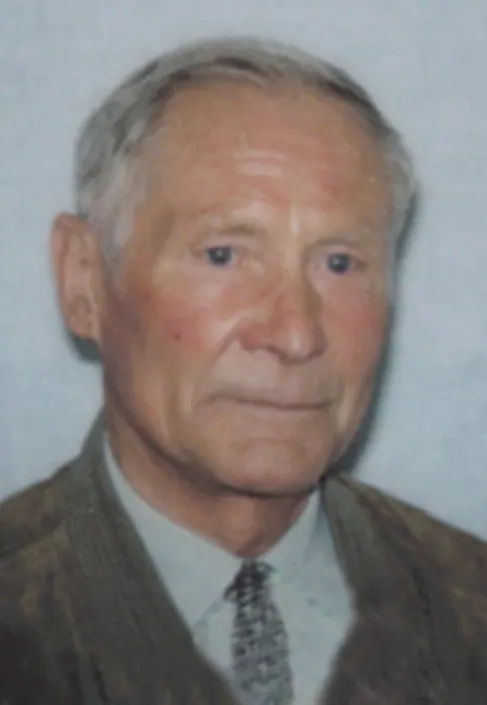 Portrait von Ing. Hermann Schuler